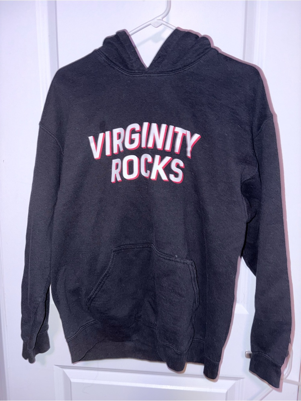 Virginity Rocks Hoodie (Danny Duncan)